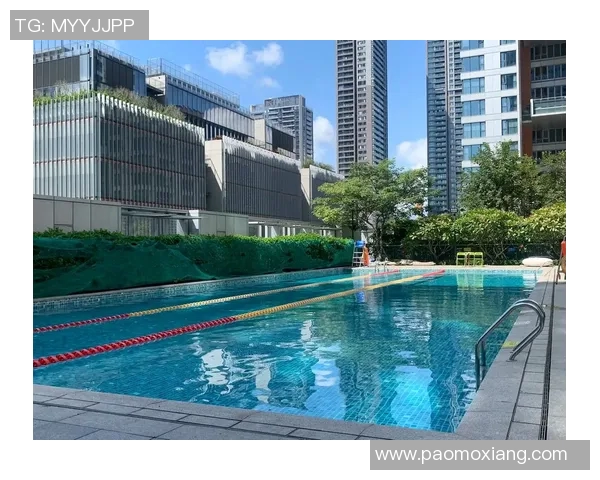 自由泳初学者必备技巧与训练建议助你快速入门提高游泳水平