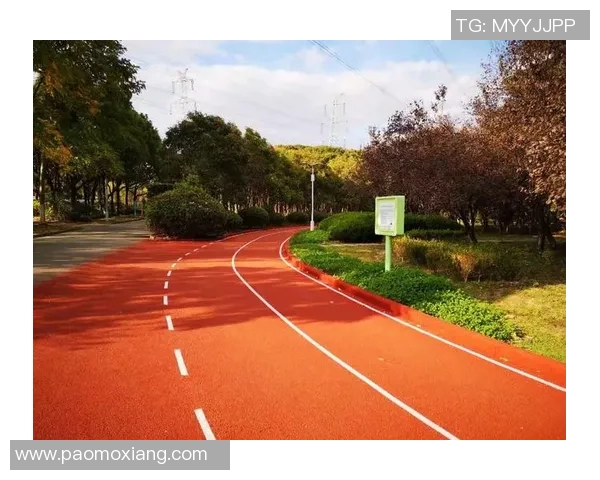 竞技体育的定义、发展与影响力分析:从竞技赛事到全民健身的全景探讨